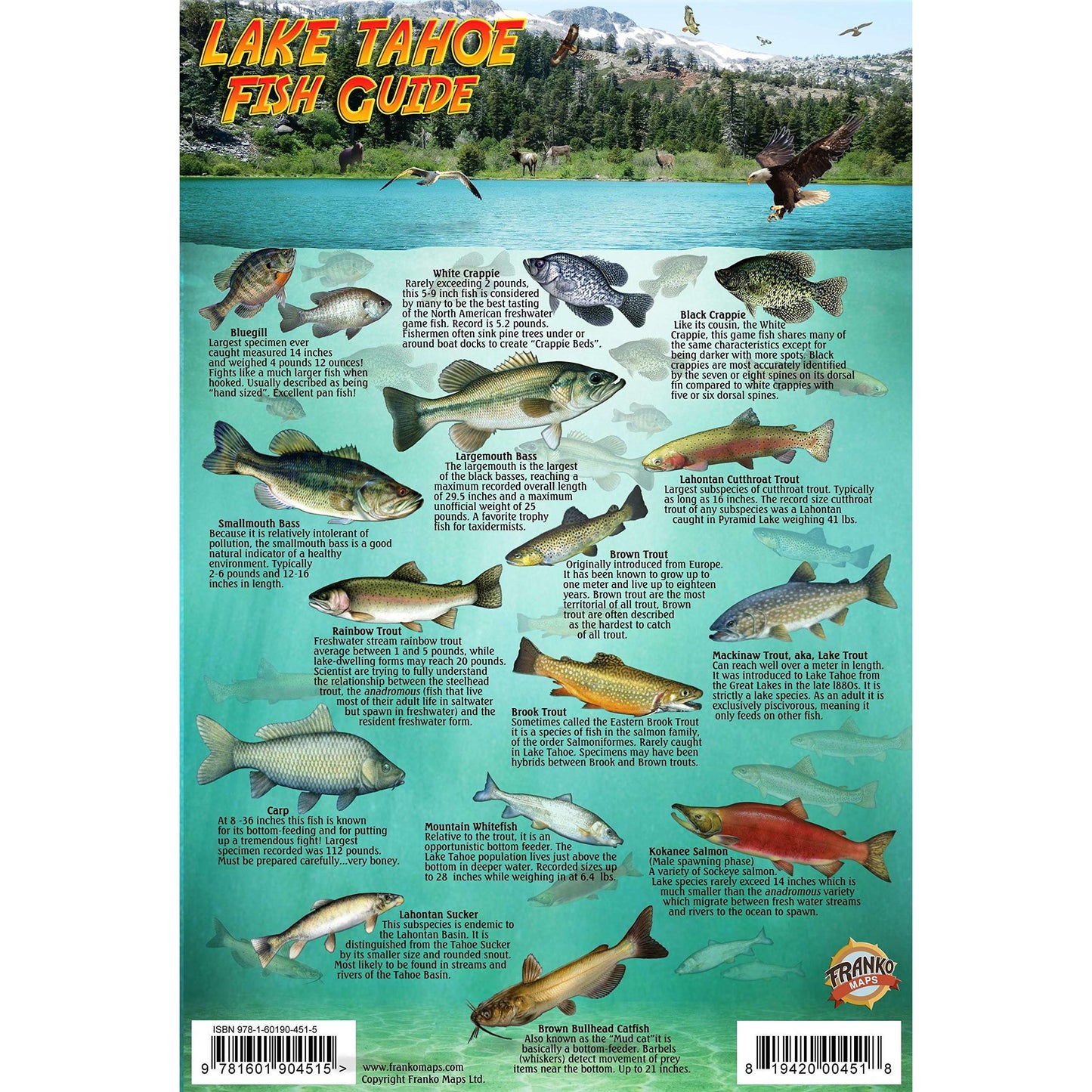 Paradise Clay GPR020 Lake Tahoe Map & Fish Guide