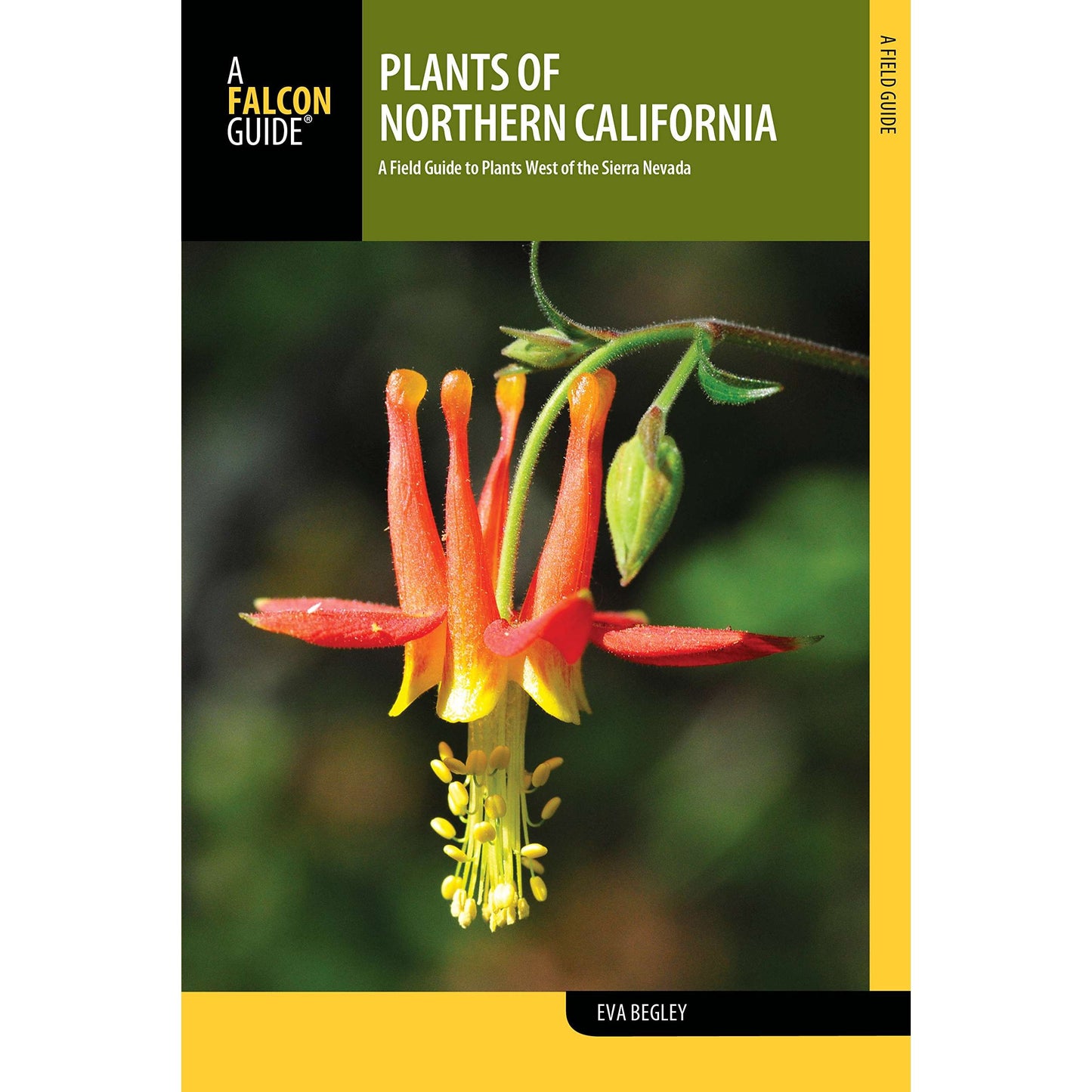 Paradise Clay GPT244 Plants of Northern California: A Field Guide to Plants West of the Sierra Nevada - Book