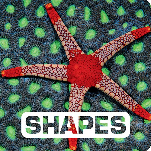 Paradise Clay HMC319 Shapes - Book