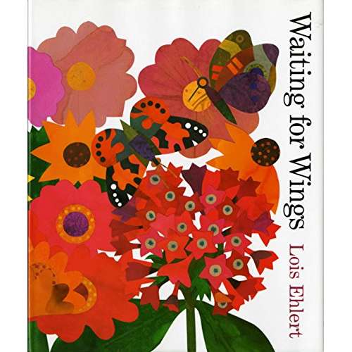 Paradise Clay HMC347 Waiting for Wings - Book