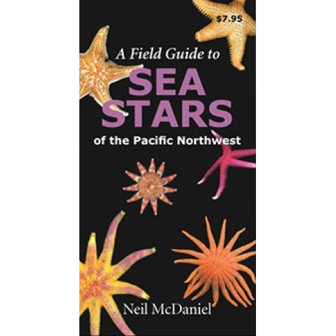 Paradise Clay HPC129 A Field Guide to Sea Stars of the Pacific Northwest - Folding Pocket Guide