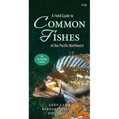 Paradise Clay HPC150 A Field Guide to Common Fishes of the Pacific Northwest - Folding Pocket Guide