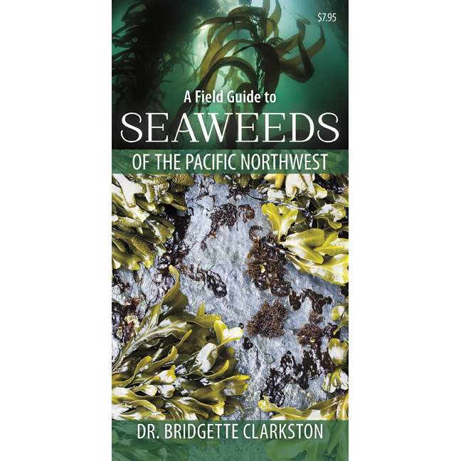 Paradise Clay HPC151 A Field Guide to Seaweeds of the Pacific Northwest - Folding Pocket Guide