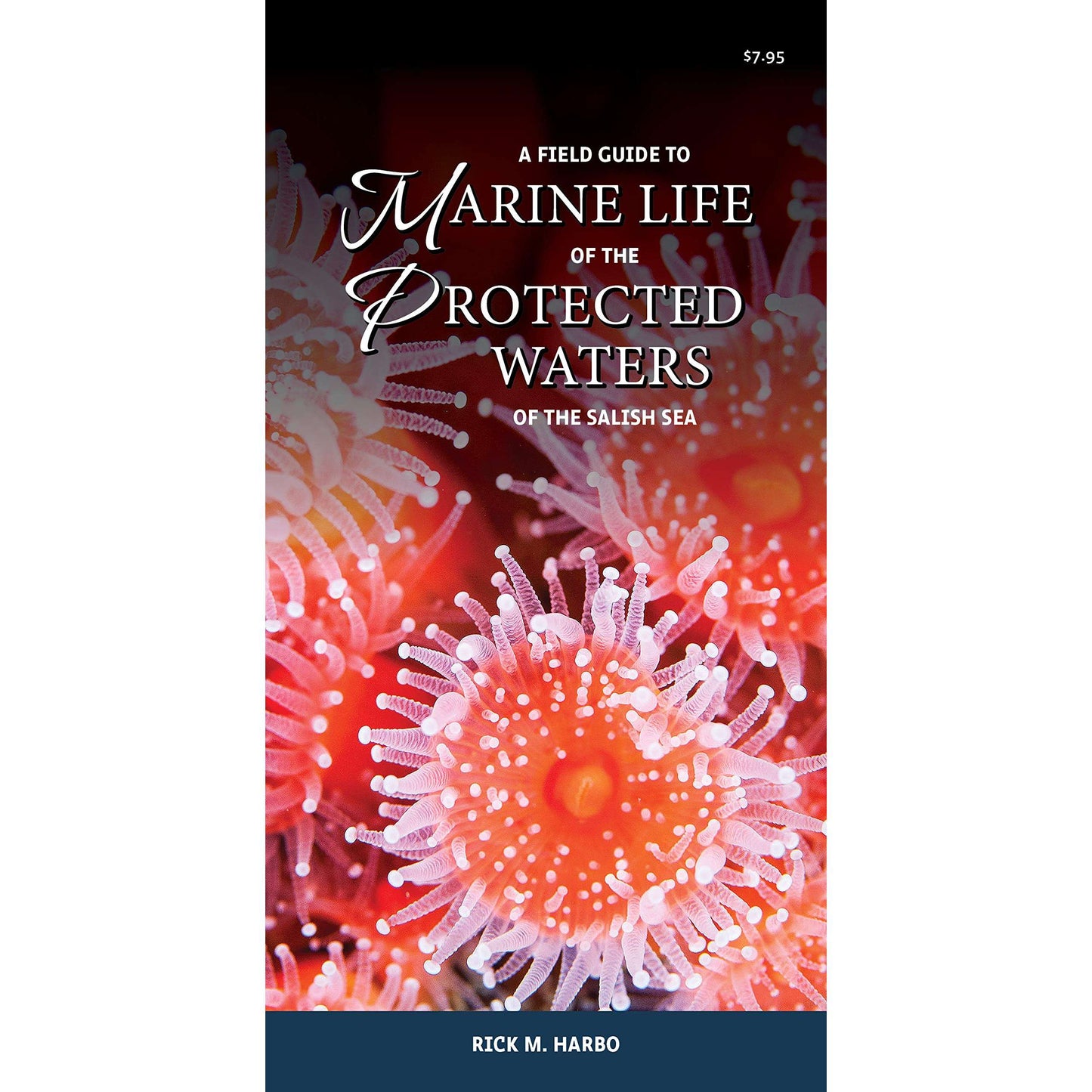 Paradise Clay HPC160 A Field Guide to Marine Life of the Protected Waters of the Salish Sea - Folding Pocket Guide