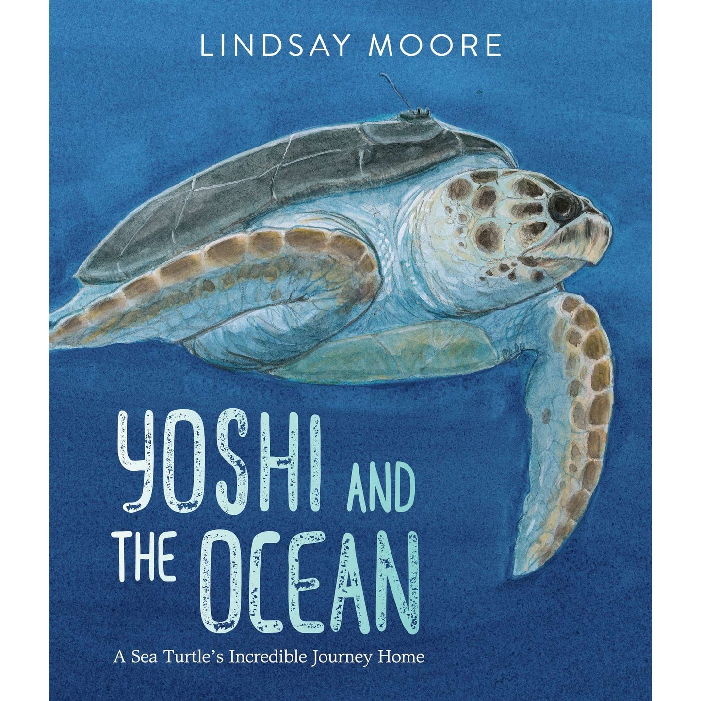 Paradise Clay HRW157 Yoshi and the Ocean: A Sea Turtle's Incredible Journey Home - Book