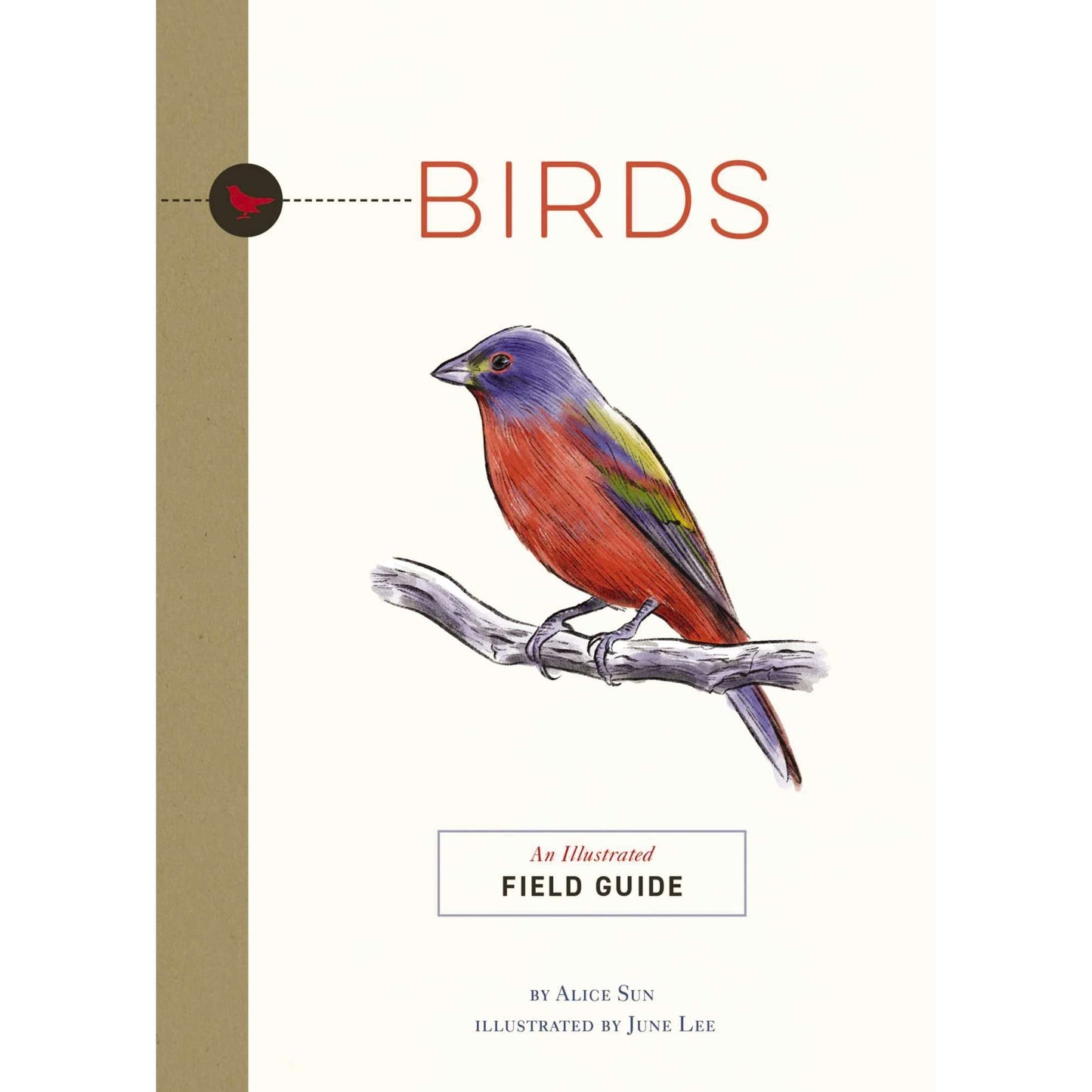 Paradise Clay HRW173 Birds: An Illustrated Field Guide - Book