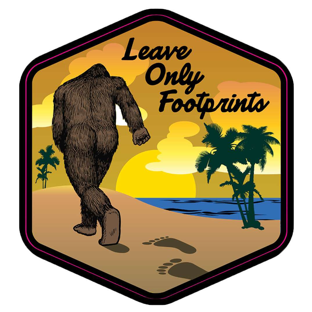 Paradise Clay IHS526 Leave Only Footprints Beach - Vinyl Sticker (1 STICKER)