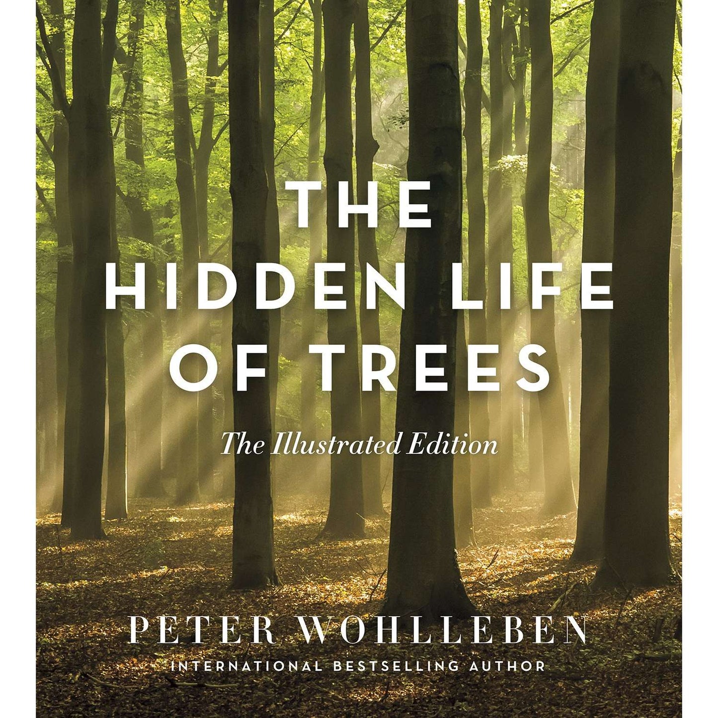 Paradise Clay IPS073 The Hidden Life of Trees: The Illustrated Edition - Book