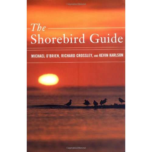 Paradise Clay IPS087 The Shorebird Guide - Book
