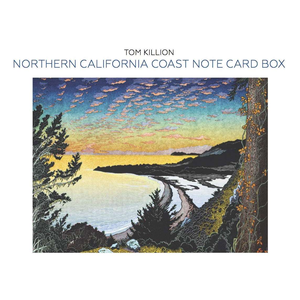 Paradise Clay IPS125 Northern California Coast Note Card Box