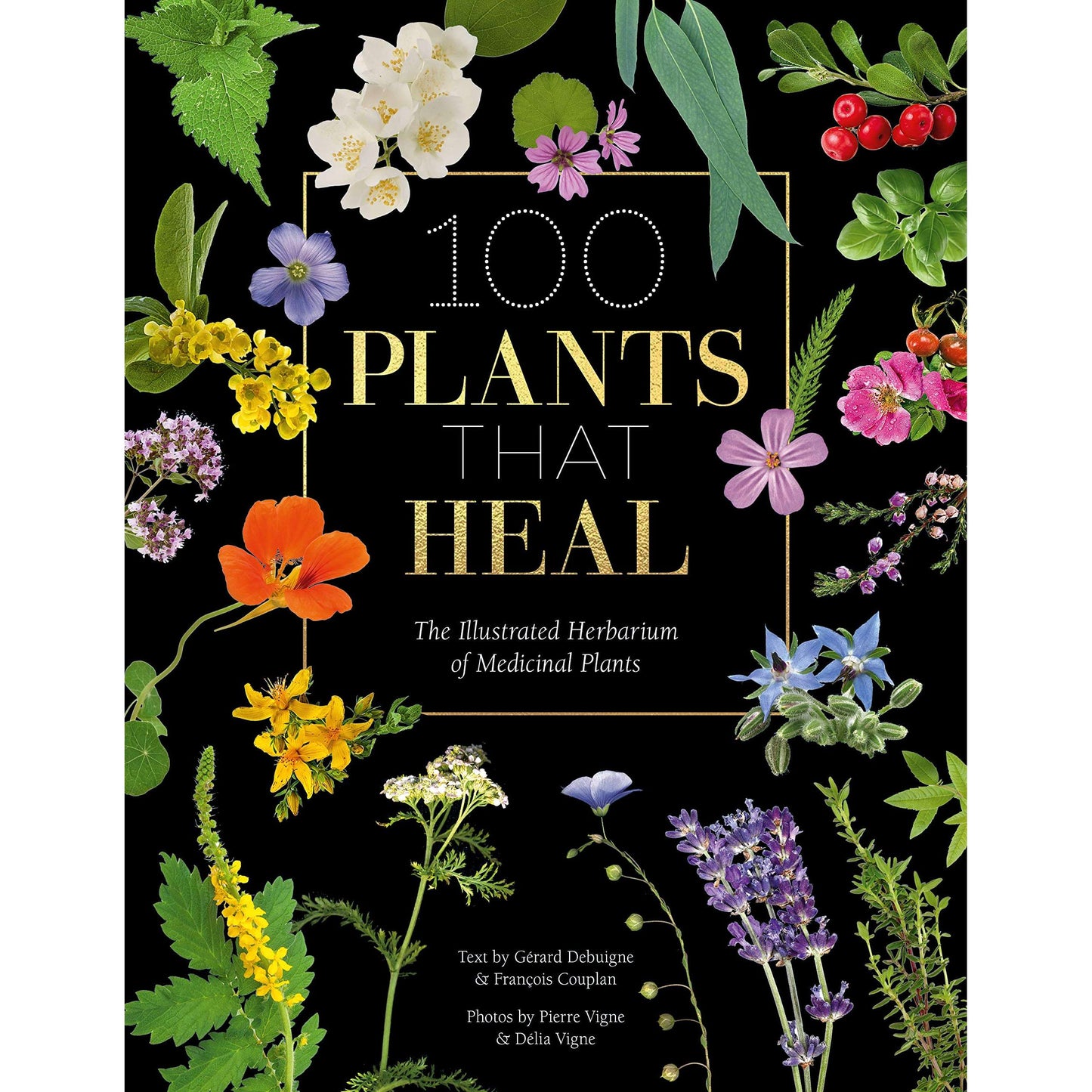 Paradise Clay IPS182 100 Plants that Heal: The illustrated herbarium of medicinal plants - Book