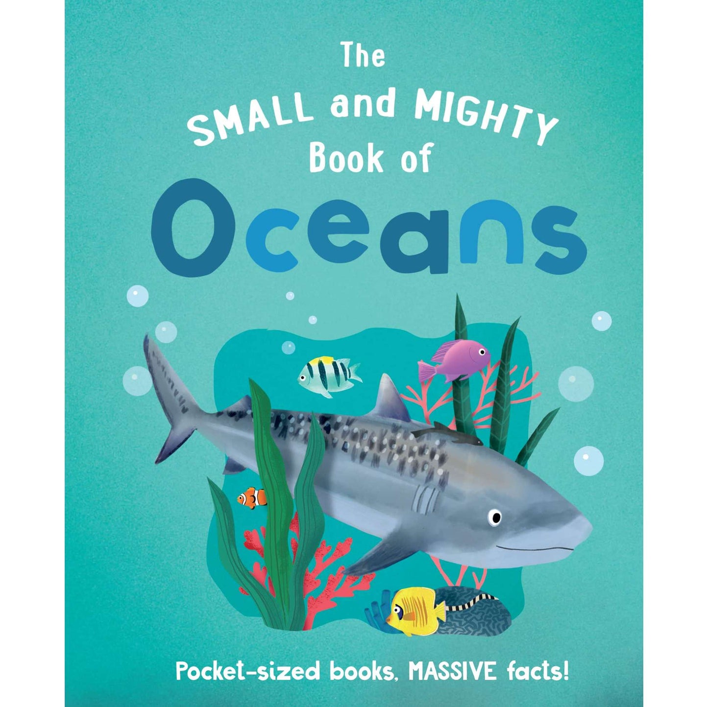 Paradise Clay IPS211 The Small and Mighty Book of Oceans - Book