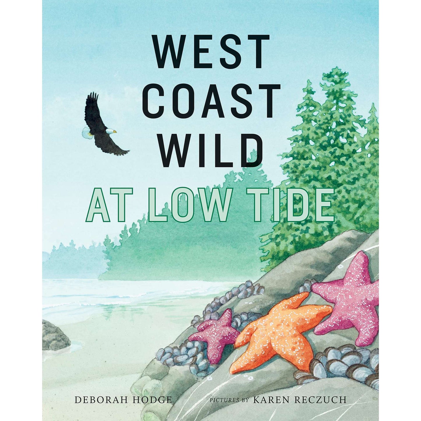 Paradise Clay IPS231 West Coast Wild at Low Tide - Book