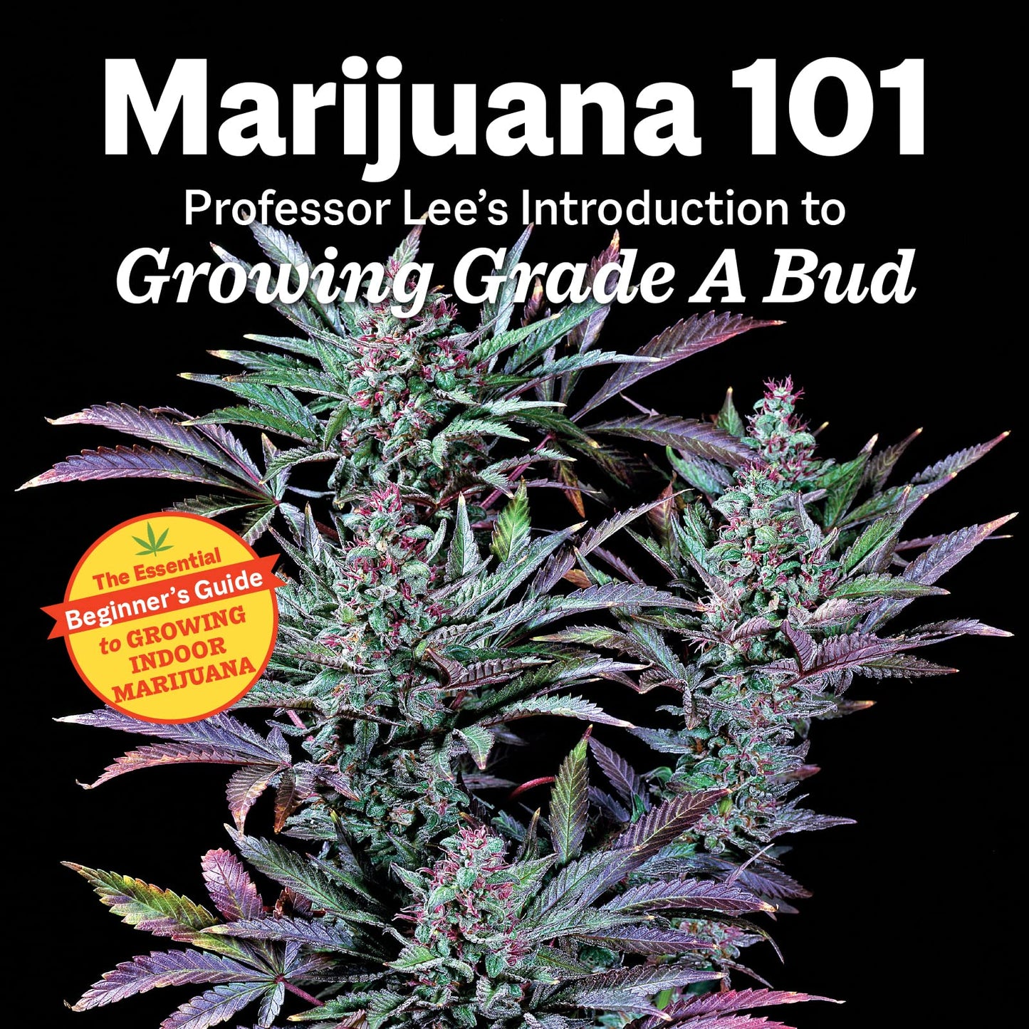 Paradise Clay IPS251 Marijuana 101: Professor Lee's Introduction to Growing Grade A Bud - Book