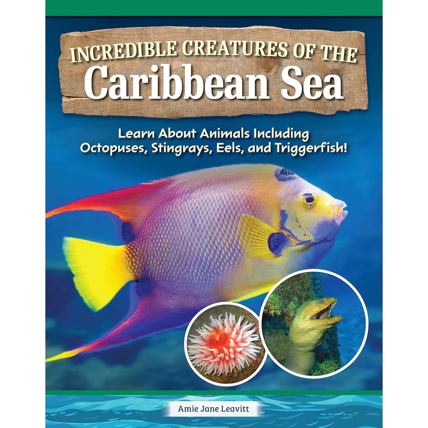 Paradise Clay FCP146 Incredible Creatures of the Caribbean Sea - Book