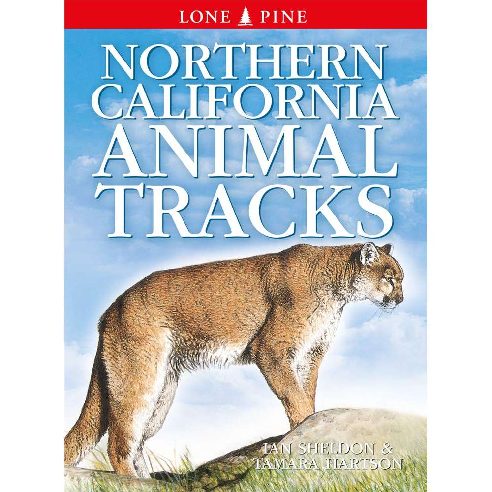Paradise Clay LPP036 Northern California Animal Tracks - Book