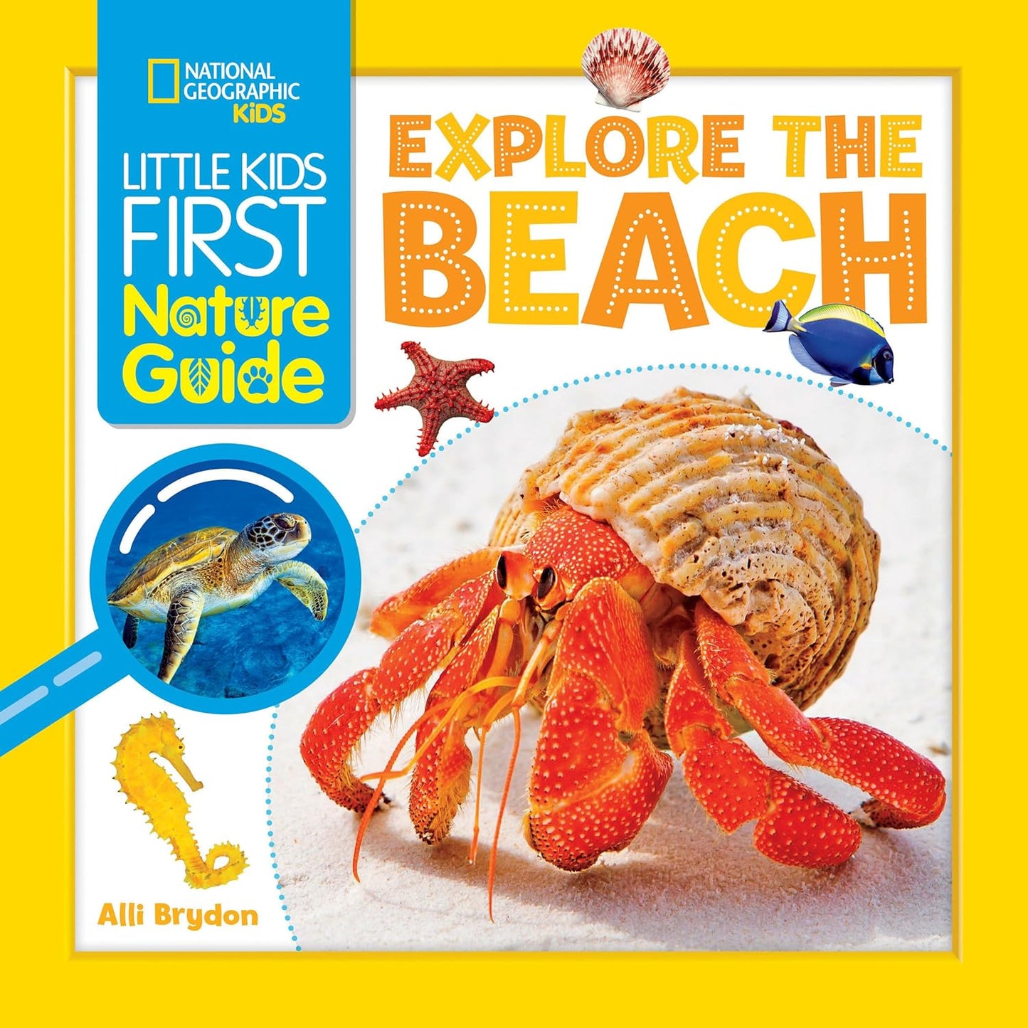 Paradise Clay PGN456 Little Kids First Nature Guide: Explore the Beach - Book