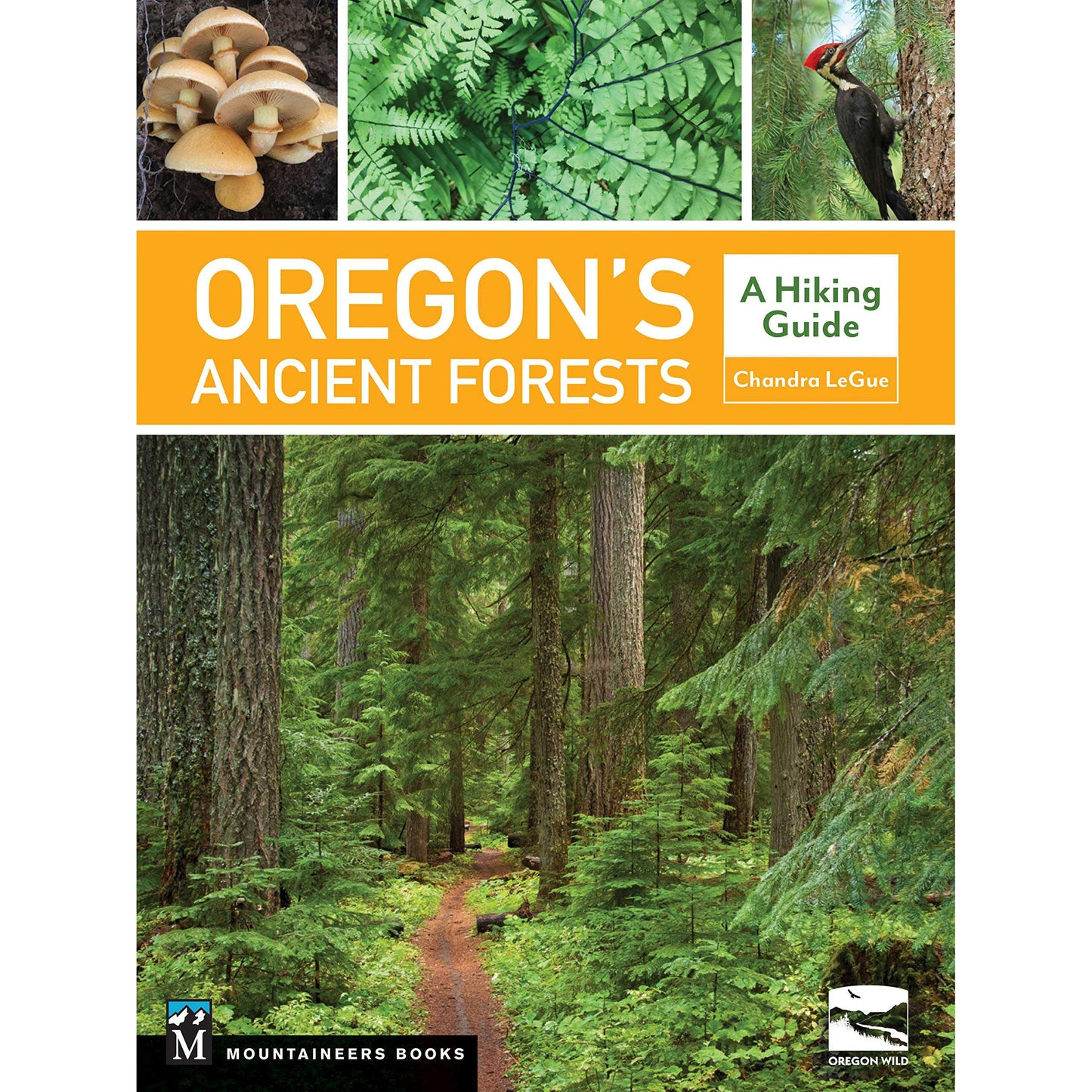 Paradise Clay MOU112 Oregon's Ancient Forests: A Hiking Guide - Book