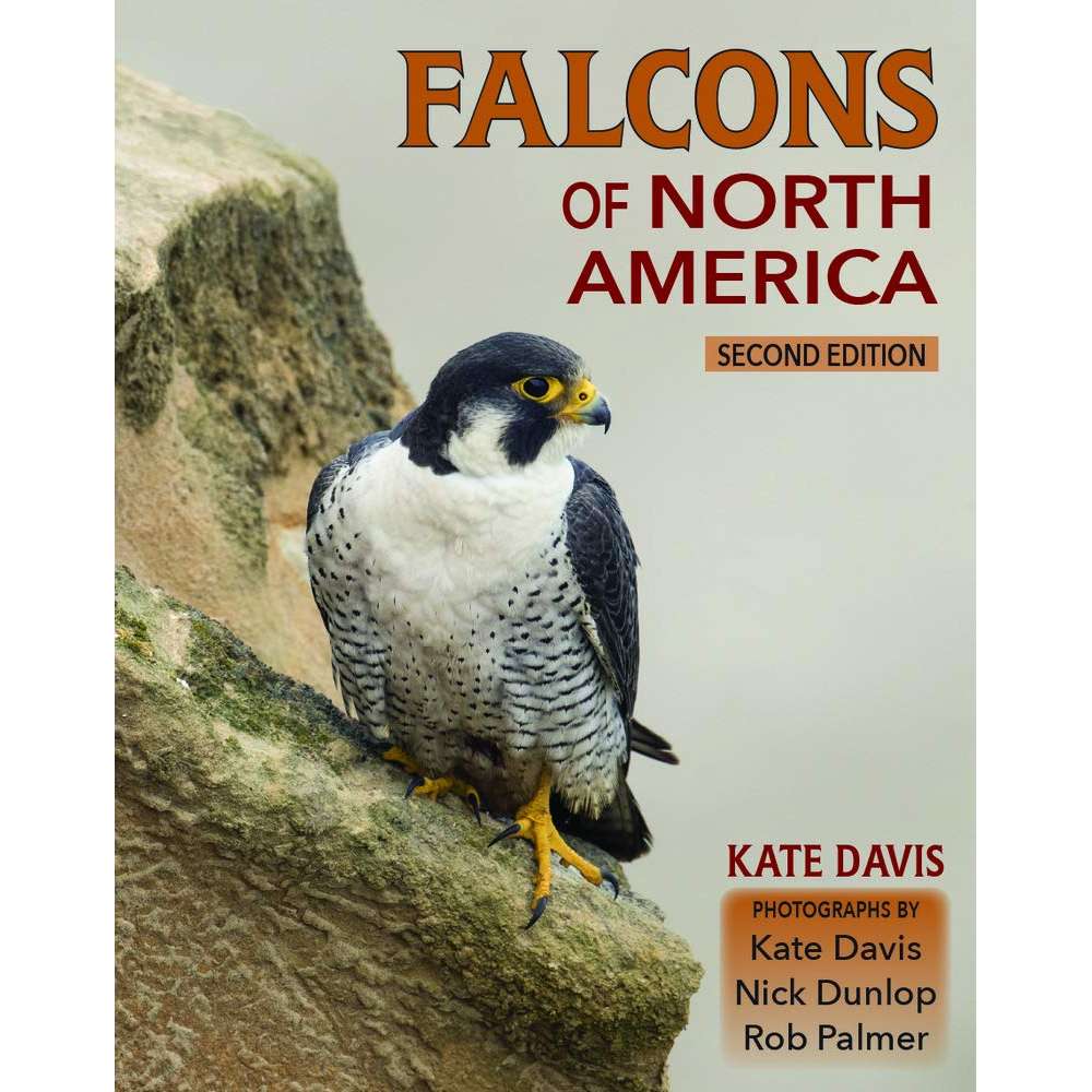 Paradise Clay MPP029 Falcons of North America - Book