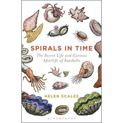 Paradise Clay MPS159 Spirals in Time: The Secret Life and Curious Afterlife of Seashells - Book
