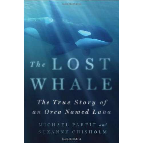 Paradise Clay MPS171 The Lost Whale: The True Story of an Orca Named Luna - Book