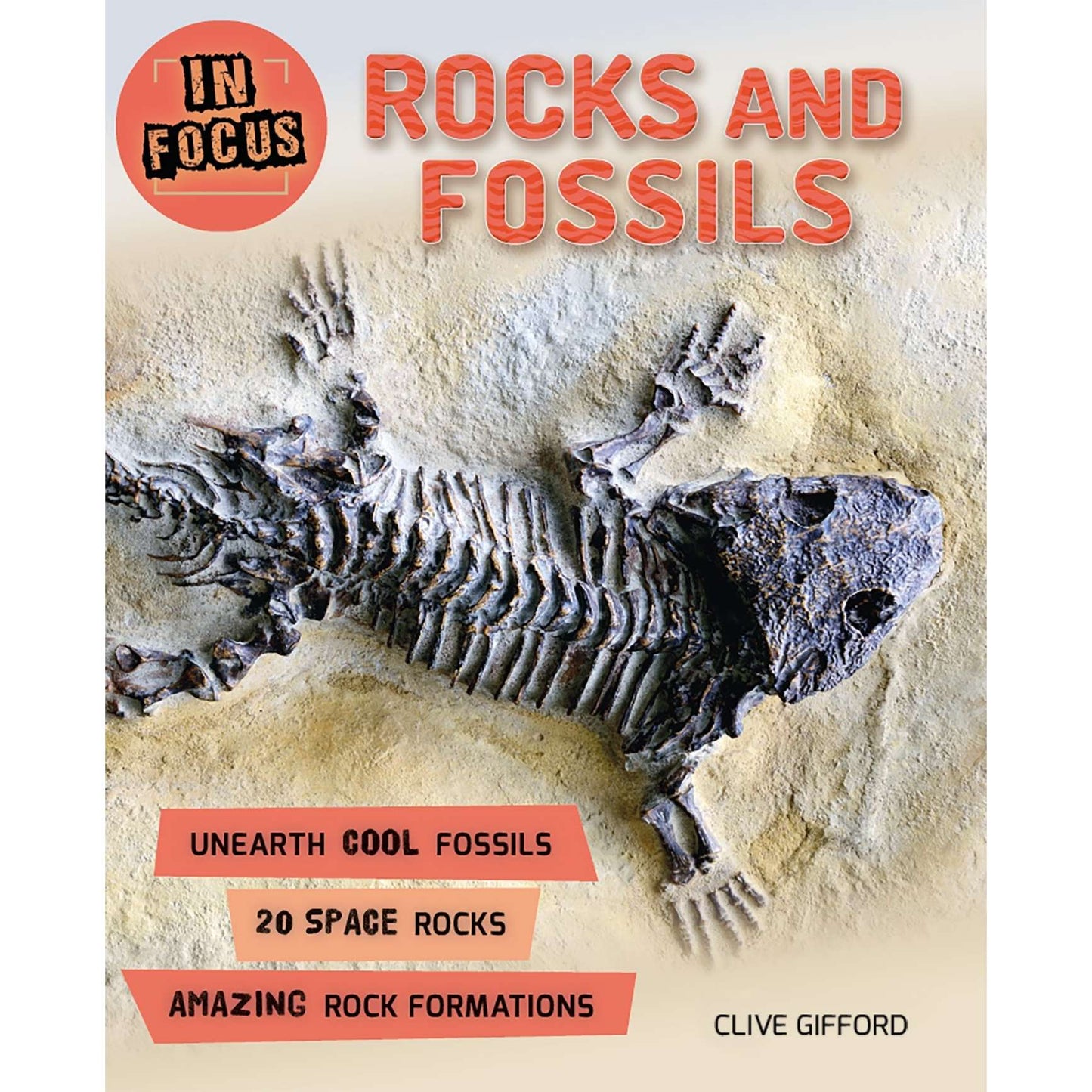 Paradise Clay MPS201 In Focus: Rocks and Fossils - Book