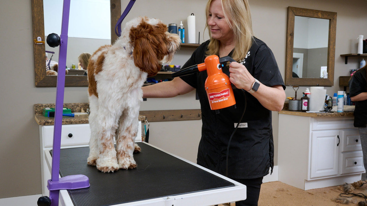 Metrovac 114I-582212 Quick Draw Compact Pet Dryer Variable Speed 220V / Euro