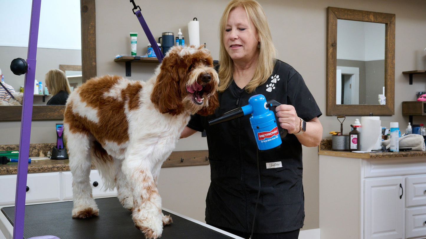 Metrovac 114I-582243 Quick Draw Compact Pet Dryer Mini Variable Speed 220V / Euro