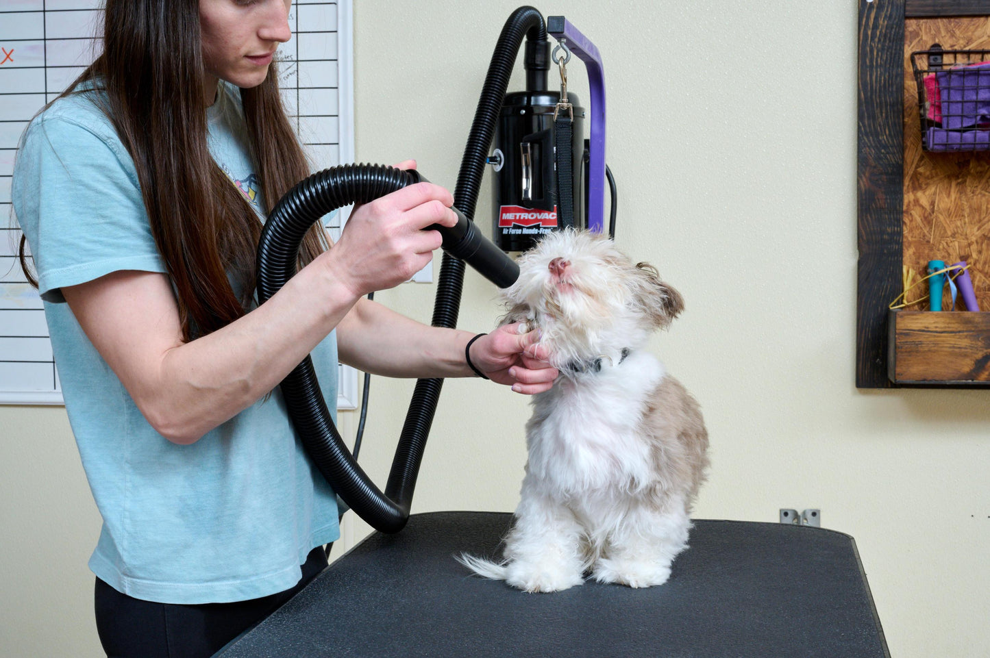 Metrovac 114I-583516 Air Force Handsfree Pet Dryer 220V / Euro