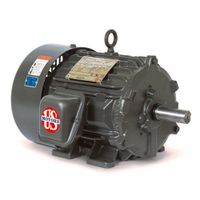 U.S. Motors DL44 CTE,30 HP,2P,286TS 60,200 V 30 HP, 3560 RPM, H30P1HS, 200 V, 60 HZ, 286TS
