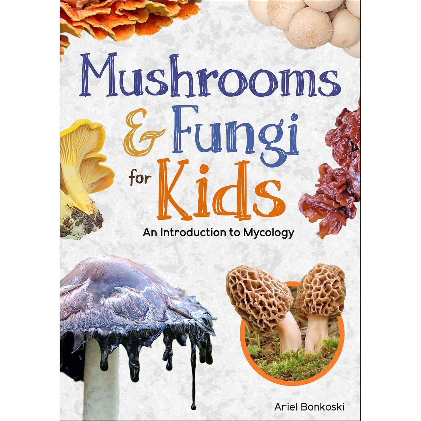Paradise Clay AVK162 Mushrooms & Fungi for Kids: An Introduction to Mycology - Book