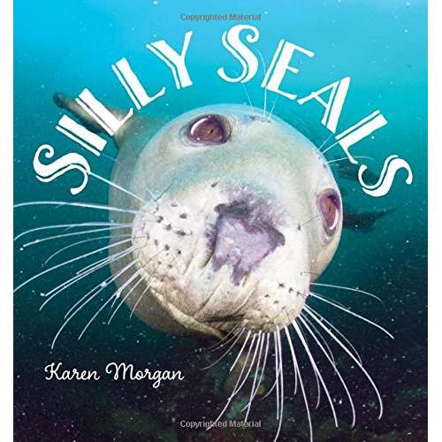 Paradise Clay NBN033 Silly Seals - Book