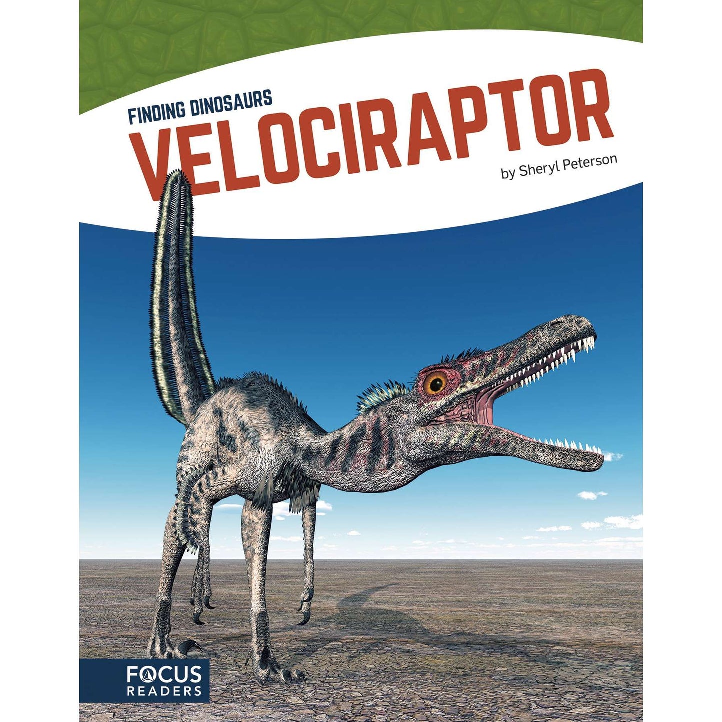 Paradise Clay NOR010 Velociraptor - Book