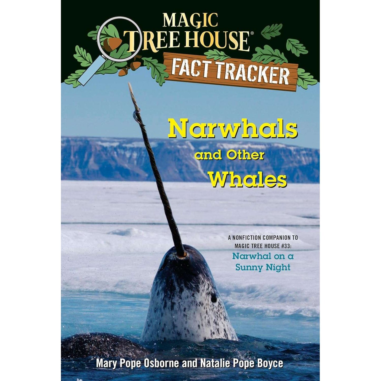 Paradise Clay PGN433 Narwhals and Other Whales - Book
