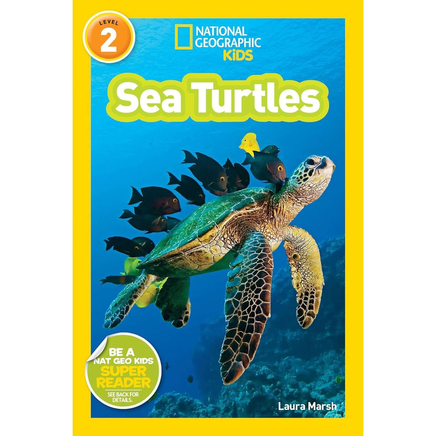 Paradise Clay PGN465 National Geographic Readers Level 2: Sea Turtles - Book
