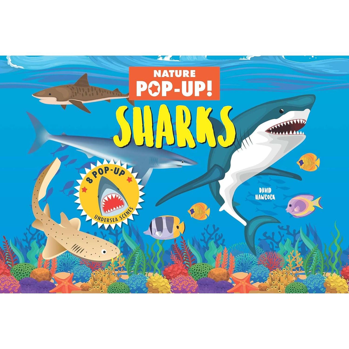 Paradise Clay FCP147 Nature Pop-Up! Sharks - Pop-up Book