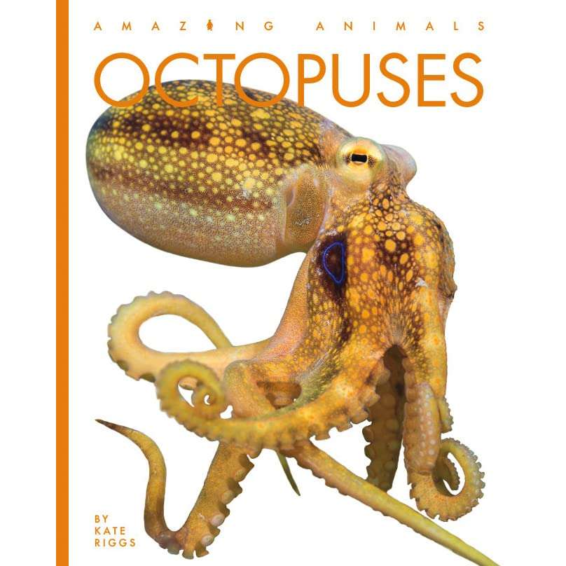 Paradise Clay HCB141 Octopuses - Book