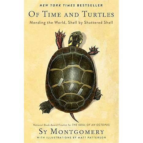 Paradise Clay HRW239 Of Time and Turtles: Mending the World, Shell by Shattered Shell - Book