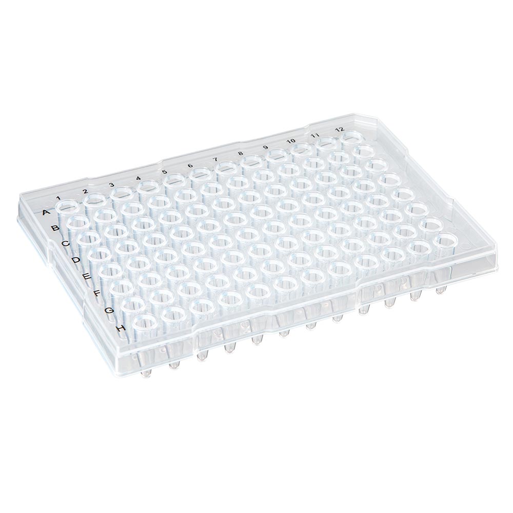Globe Scientific PCR-HS-RR02 0.2mL 96-Well PCR Plate Half Skirt (ABI-style) Ridged Rim Clear