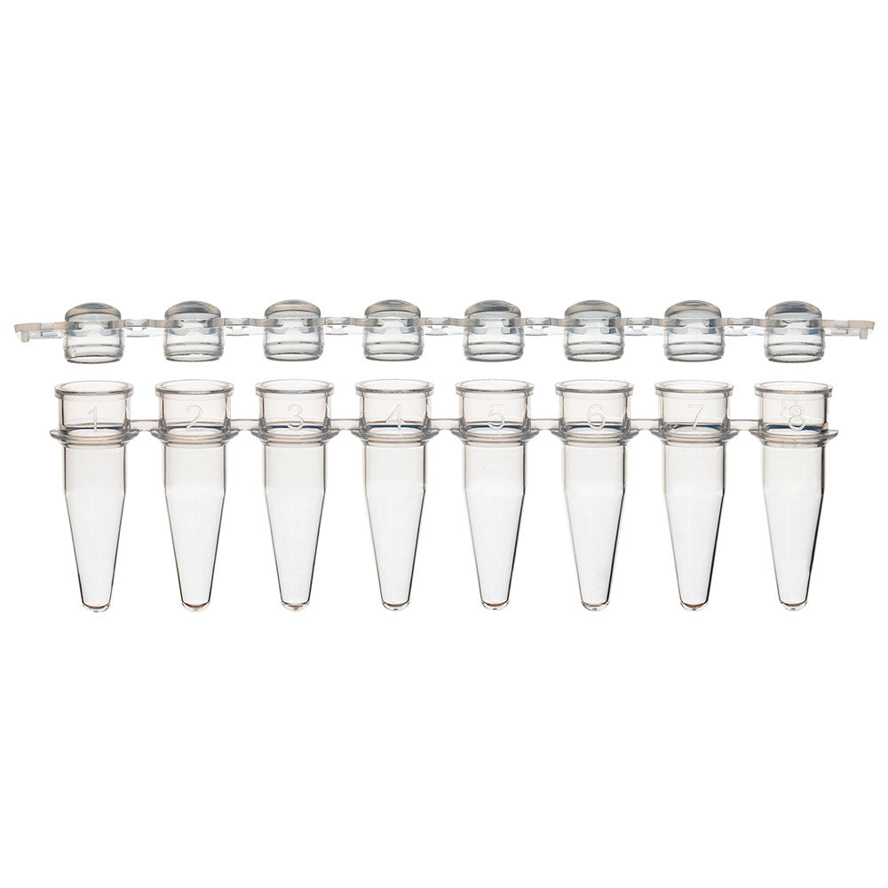 Globe Scientific PCR-STR-02D 0.2mL 8-Strip Tubes with Separate 8-Strip clear Dome caps Natural