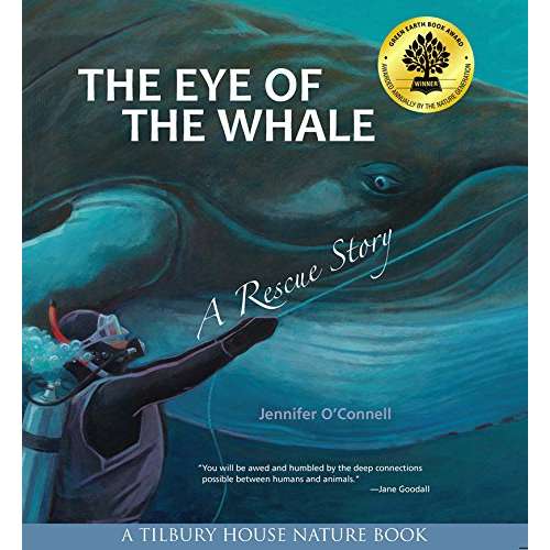 Paradise Clay PGN302 The Eye of the Whale: A Rescue Story - Book