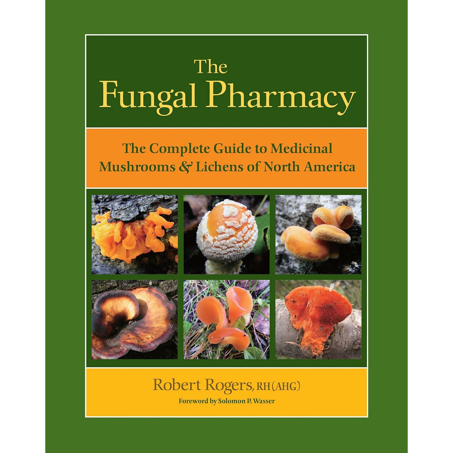Paradise Clay PGN319 The Fungal Pharmacy - Book