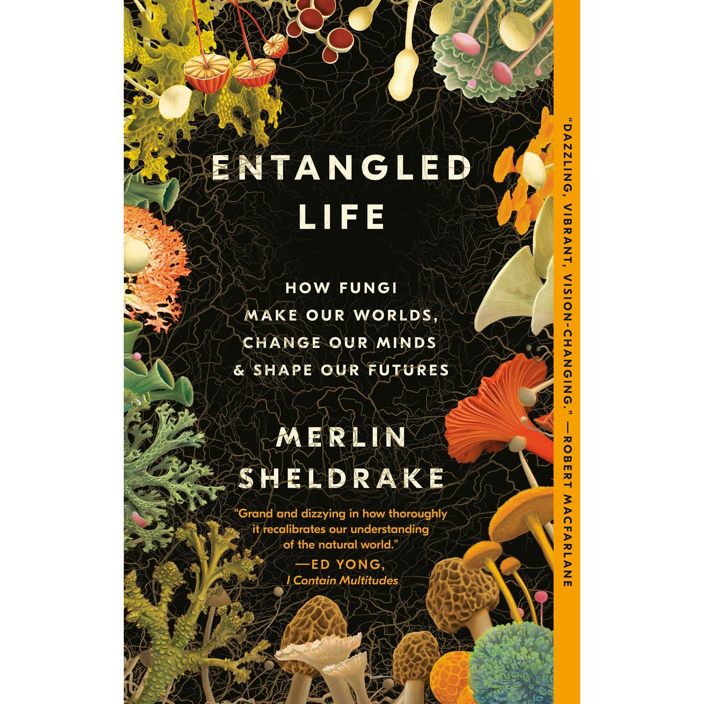 Paradise Clay PGN361 Entangled Life: How Fungi Make Our Worlds, Change Our Minds & Shape Our Futures - Book