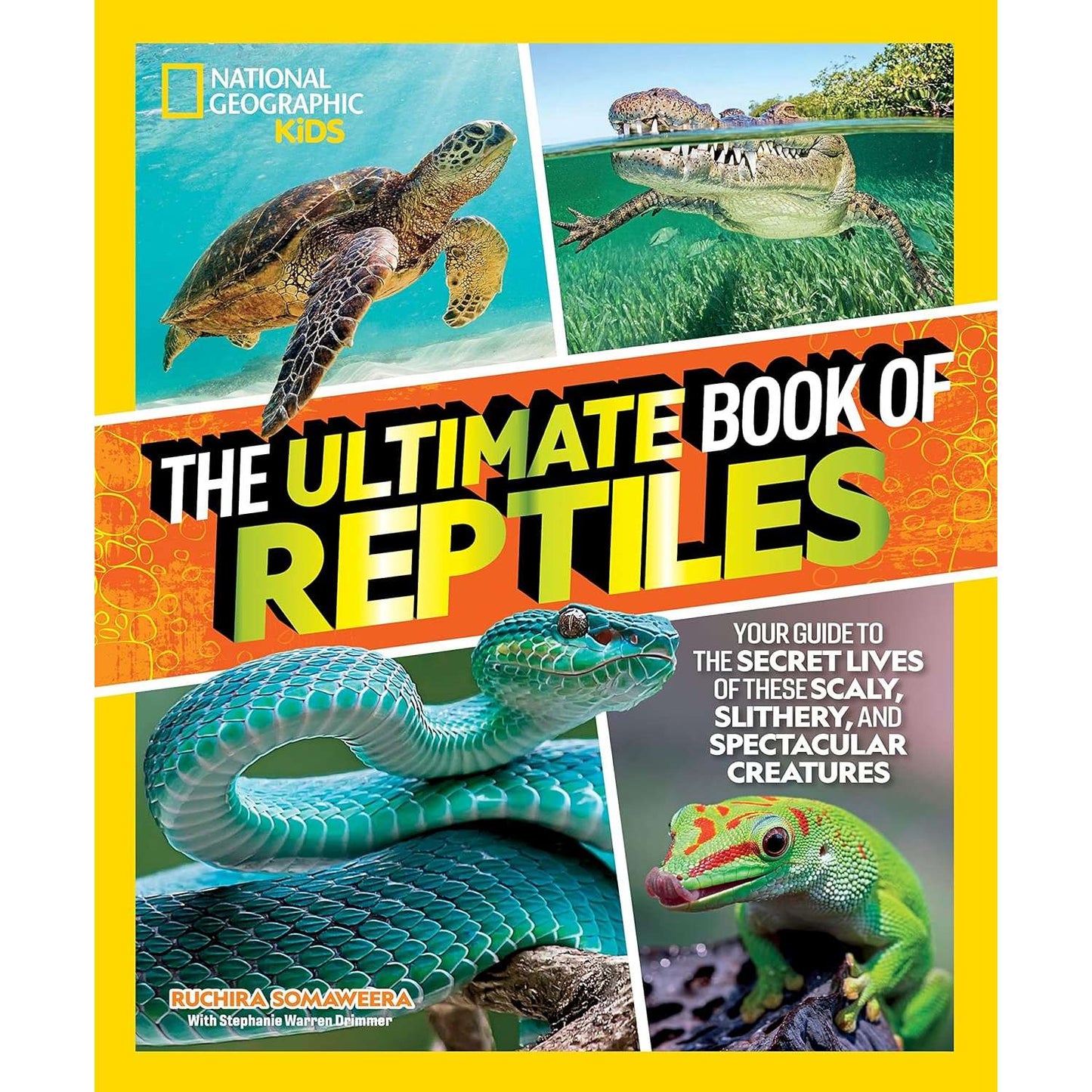 Paradise Clay PGN417 The Ultimate Book of Reptiles: Your guide to the secret lives of these scaly, slithery, and spectacular creatures! - Book