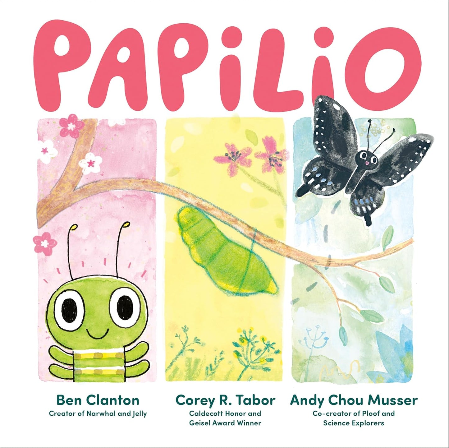 Paradise Clay PGN518 Papilio - Book