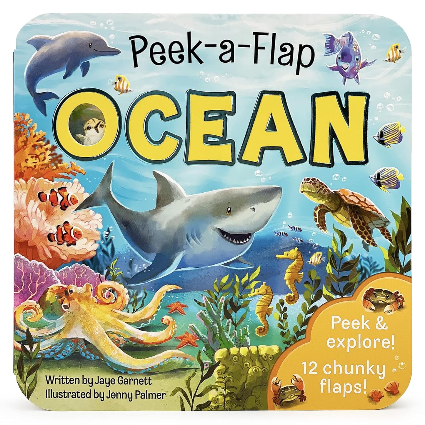 Paradise Clay CDP018 Peek-a-Flap Ocean - Board Book