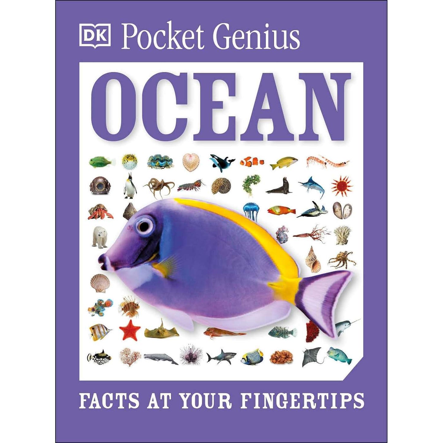 Paradise Clay DKP153 Pocket Genius Ocean - Book