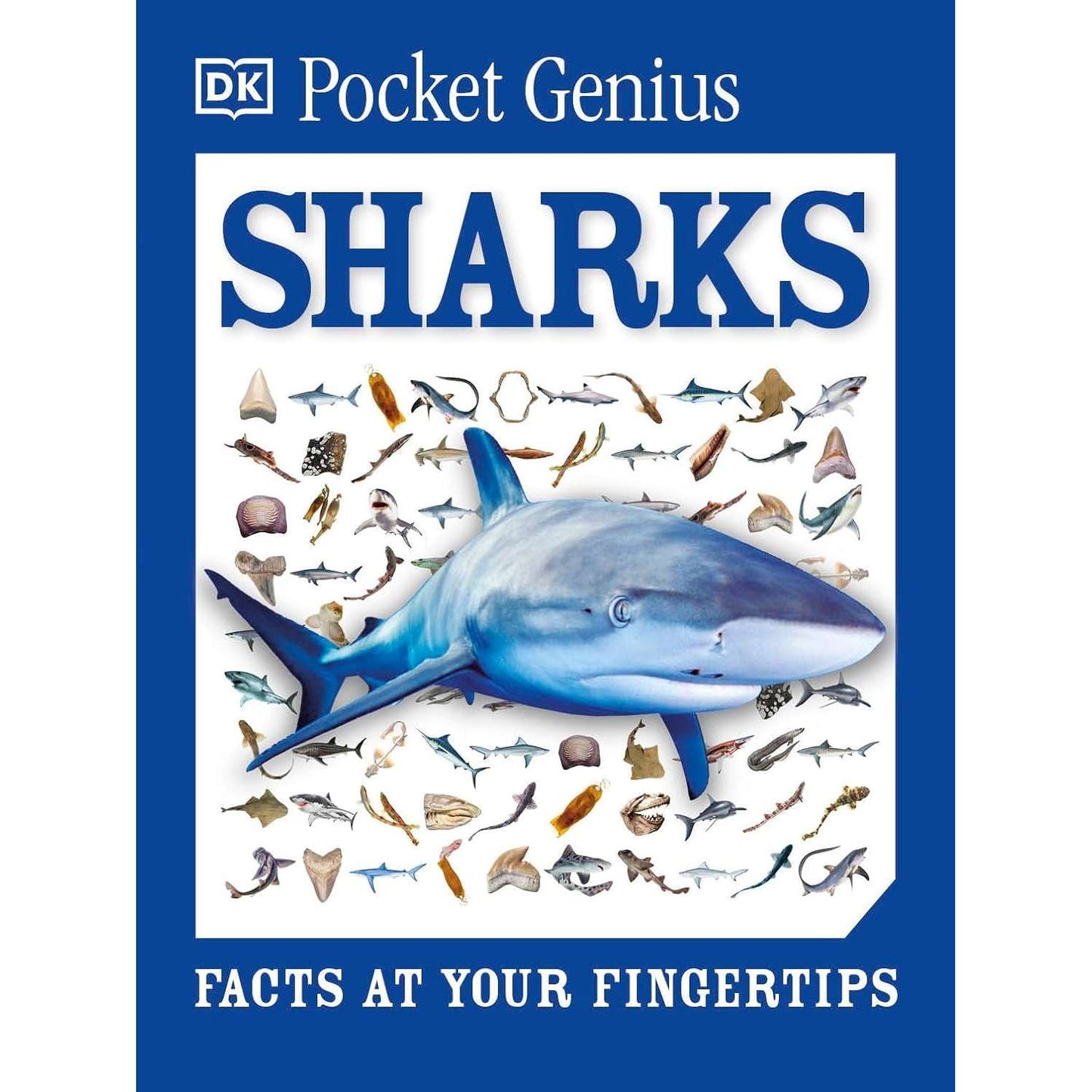 Paradise Clay DKP154 Pocket Genius Sharks - Book