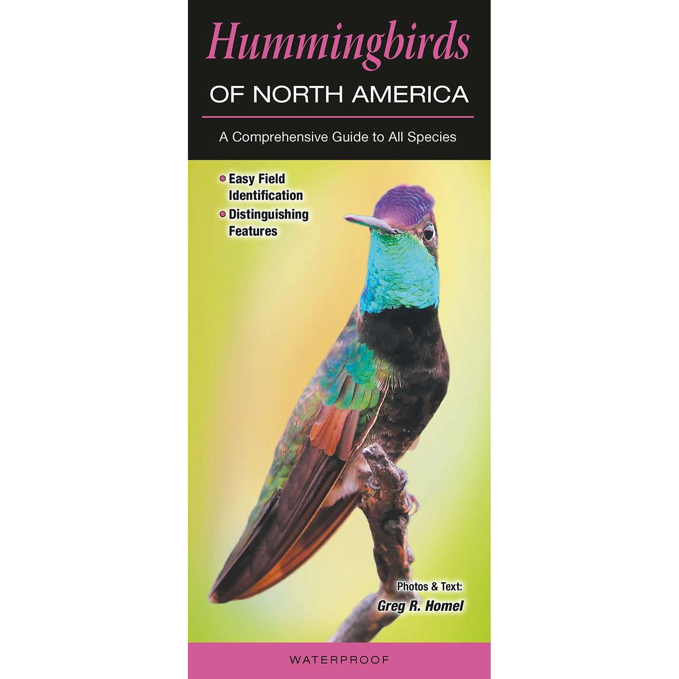 Paradise Clay QRP002 Hummingbirds of North America - Folding Pocket Guide
