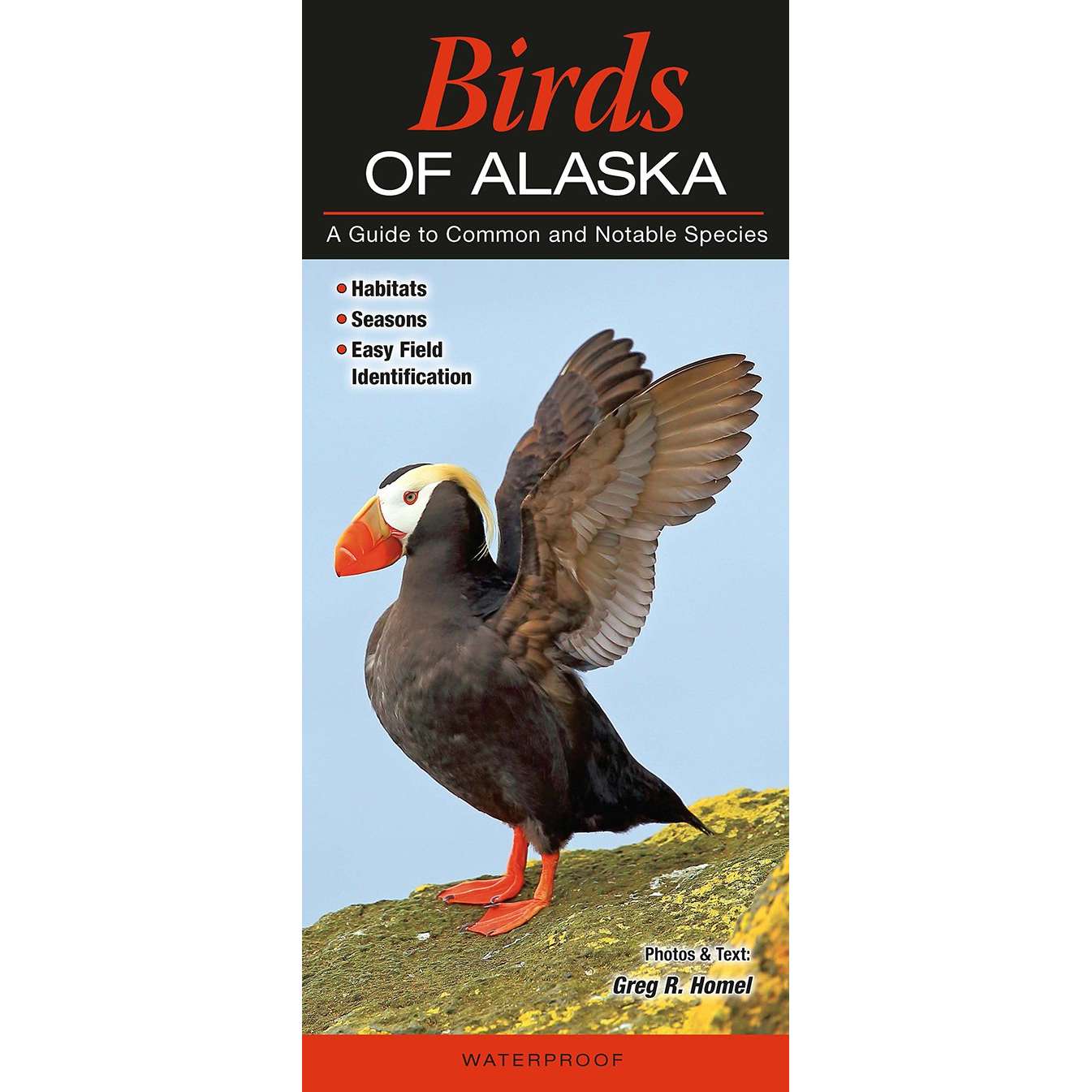 Paradise Clay QRP004 Birds of Alaska - Folding Pocket Guide